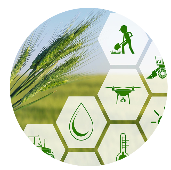 Fortune Investment Ltd.