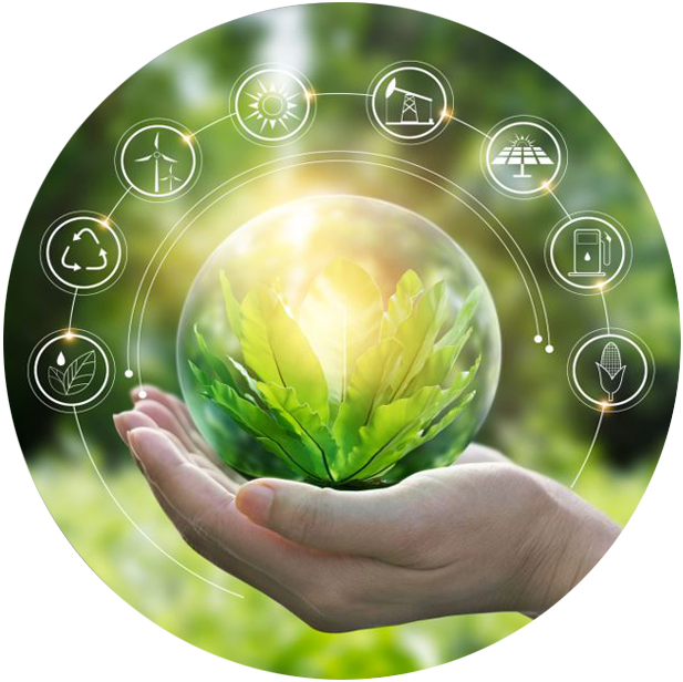 Fortune Investment Ltd.