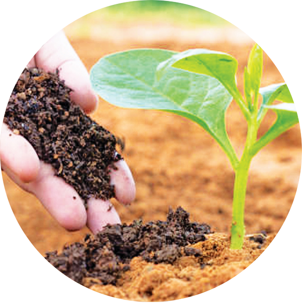 Fortune Investment Ltd.